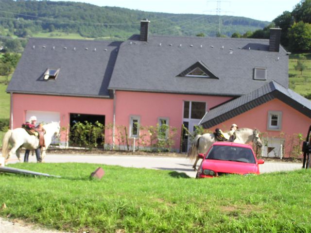 P8140020
