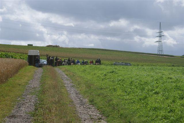 DSC00851