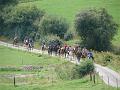 DSC02268_1111