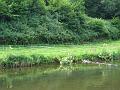 IMG_0027