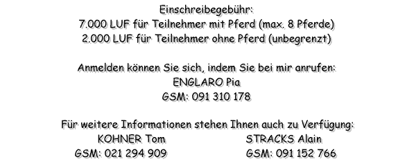 Anmelden unter 091 310 178